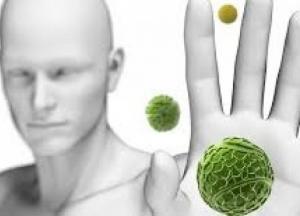 Названы способы укрепления иммунной системы 