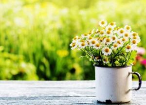 Прогноз погоды на 18 августа: дожди на западе и солнце на юге