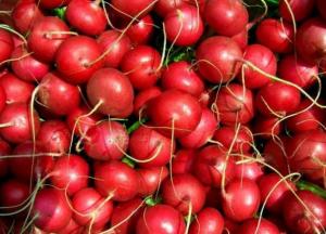 Медики назвали популярный корнеплод, который обеспечивает долголетие