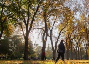 ​Синоптики обещают теплый и солнечный уикенд 9-10 октября