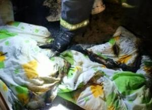 Во Львове горело студенческое общежитие, есть пострадавшие (фото, видео)