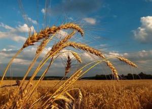 Прогноз погоды на 28 августа: в Украине будет прохладно, на востоке дождливо