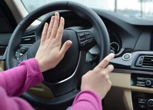 В Днепре женщина с ружьем вскрыла гараж и угнала автомобиль