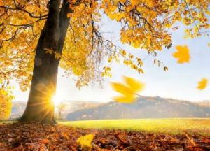 Прогноз погоды на 28 октября: солнце и тепло не спешат покидать Украину