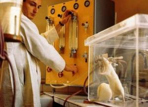 Ученые нашли участки мозга, регулирующие секс и агрессию