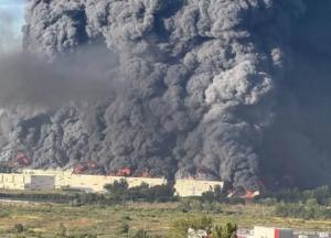 Wildberries та Ozon знали про прильоти, і заздалегідь кинули росіян на дикі гроші за спалені товари (фото)