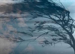 Киянам буде найгірше: 5 лютого в Україні потеплішає, але є вкрай неприємний нюанс