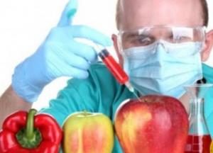 Как на самом деле ГМО влияет на здоровье