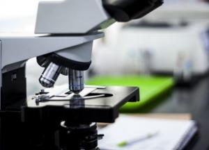 Американские ученые создали первых живых роботов