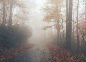 Прогноз погоды на 3 ноября: Запад будут поливать дожди