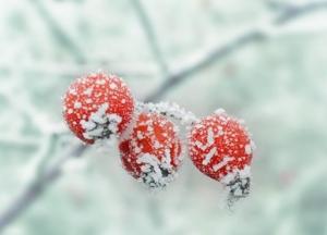 В Украину возвращаются ночные морозы