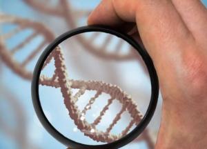 Сколько на самом деле должен жить человек: ученые дали ответ