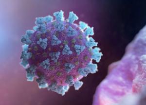 Ученые нашли доказательства лабораторного происхождения коронавируса