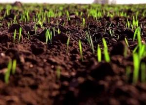 В Украине начали весеннюю посевную кампанию