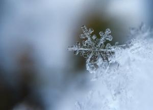 Шторм и мокрый снег: синоптики заявили о резком ухудшении погоды в Украине