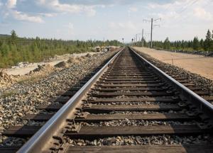 В Харьковской области скоростной поезд сбил женщину насмерть