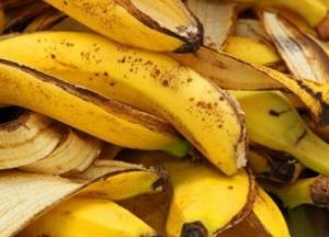 Ученые нашли новое применение банановой кожуре
