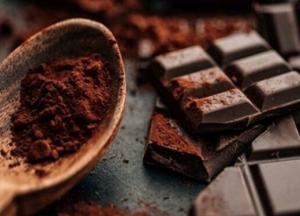 Развенчаны популярные мифы о темном шоколаде