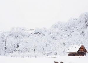 Прогноз погоды на 13 января: Украину будет засыпать снегом