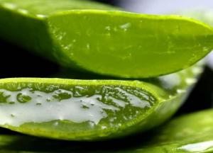 Медики назвали растение, которое ускоряет рост волос