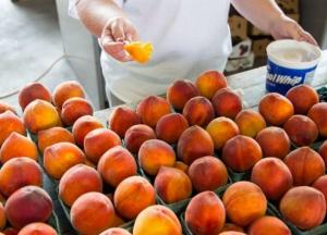 Медики назвали малоизвестные и полезные свойства персиков