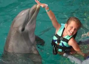 Дельфины искусали и попытались утопить девочку в бассейне