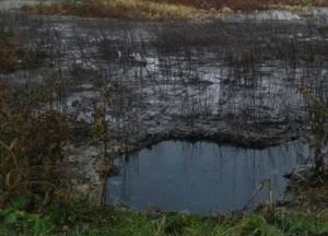 В Киеве мужчина застрял в болоте, пришлось вызывать спасателей