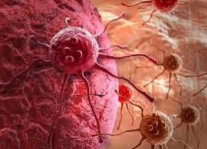 Ученые обнаружили природное лекарство от рака