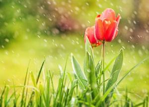 Прогноз погоды на 14 апреля: в Украину идет похолодание