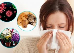 Чем опасна аллергия