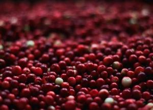 Медики назвали простые средства для повышения иммунитета