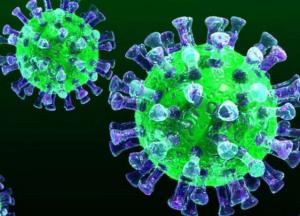 Американские ученые придумали, как противостоять коронавирусу 