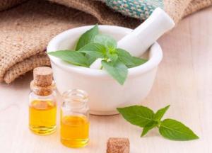 Названы пять лучших природных растений-антибиотиков