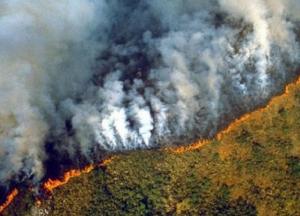 Лидеры G7 обратили внимание на "кризис международного масштаба"