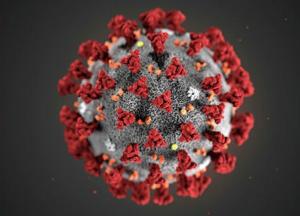 «Кокаин не помогает»: ВОЗ отвергла распространённые слухи о борьбе с коронавирусом