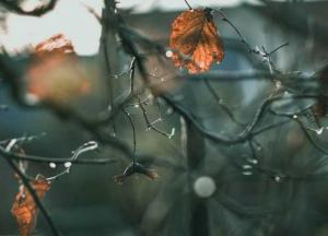 Прогноз погоды на 6 ноября: солнце, местами дождь и туман