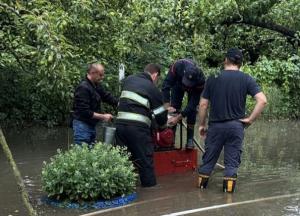 На Буковині вирує стихія: Чернівцям загрожує каналізаційний потоп (відео)