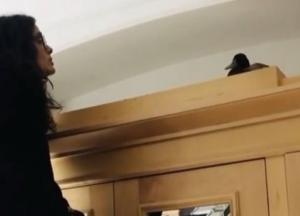 Сальма Хайек пыталась прогнать нежданную гостью из своего особняка (видео)