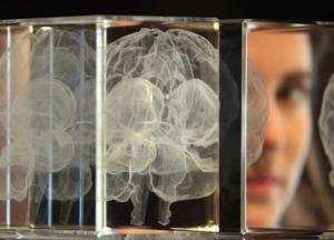 Ученые научились "стирать" из памяти неприятные воспоминания