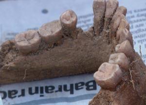 В Британии нашли древнее захоронение, связанное с загадочным ритуалом (фото)