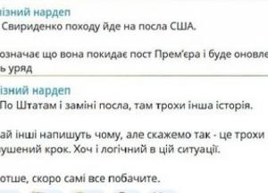 Джерела: Колишній нардеп Стефанішина може отримати нову підозру щодо незаконних доходу