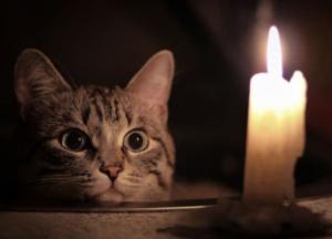 Блекаути б’ють по кишенях українців: що буде з цінами на продукти далі