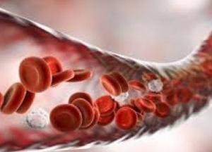 Названы продукты, которые защитят от тромбозов