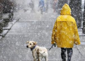 Прогноз погоды на 4 января: ожидаются мокрый снег и дождь