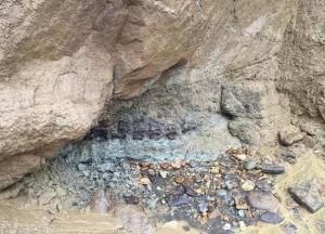 В Британии нашли хвост динозавра (фото)