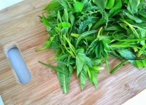 Медики рассказали о самой полезной для организма зелени