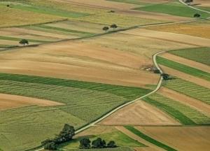 В Украине заключили первую тысячу земельных сделок