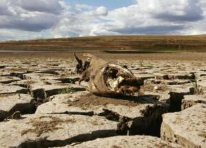 Назревает катастрофа: в Крыму пересохли реки из-за засухи
