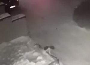 Девочка выпала из окна на четвертом этаже и осталась жива (видео)