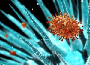 Ученые заявили о глобальной эпидемии суперинфекций